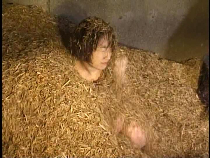 サンプル画像 21