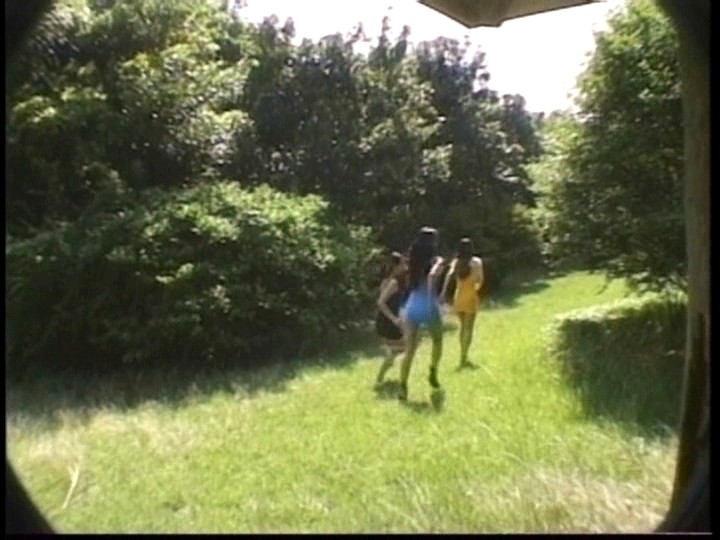 サンプル画像 5