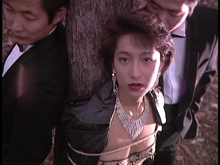 サンプル画像 12