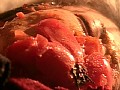 サンプル画像 15