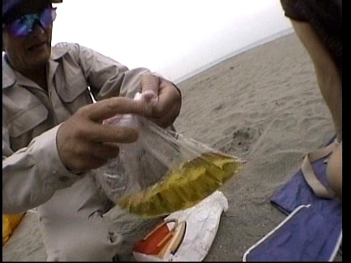 サンプル画像 11