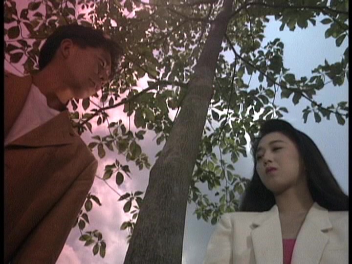 サンプル画像 7