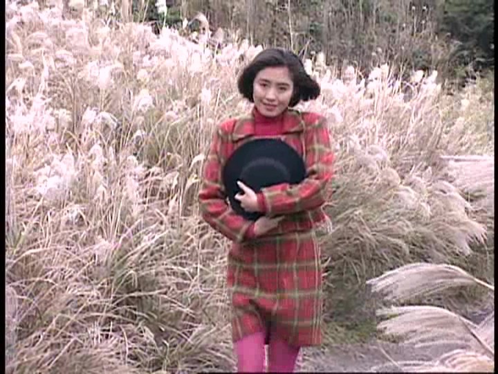 サンプル画像 3