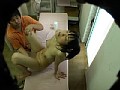 サンプル画像 15