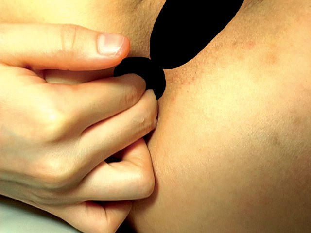 サンプル画像 5