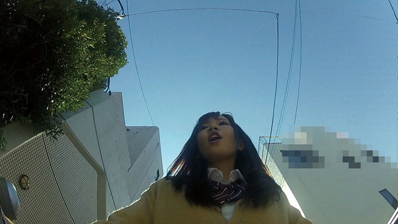 サンプル画像 9