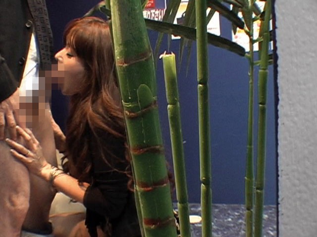 サンプル画像 11