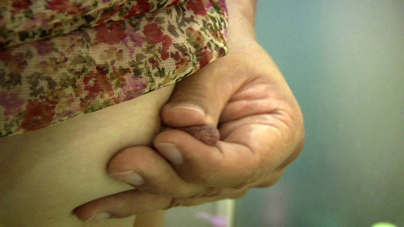 サンプル画像 8