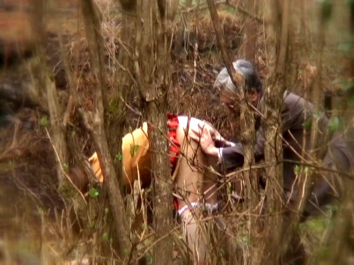 サンプル画像 7