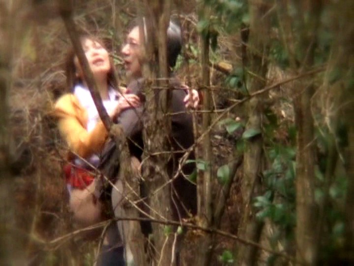 サンプル画像 8