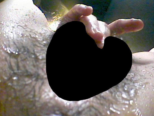 サンプル画像 8