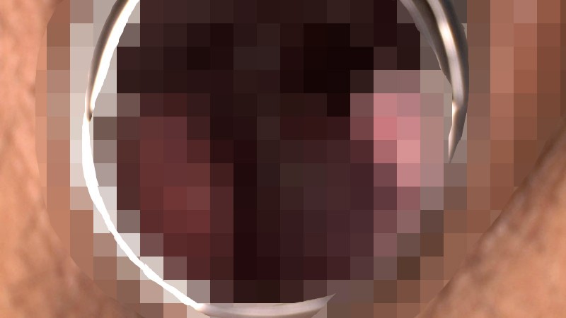 サンプル画像 6