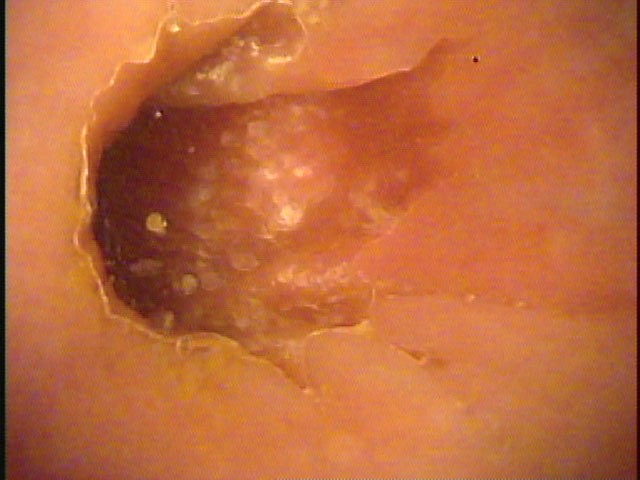 サンプル画像 8