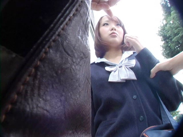 サンプル画像 6