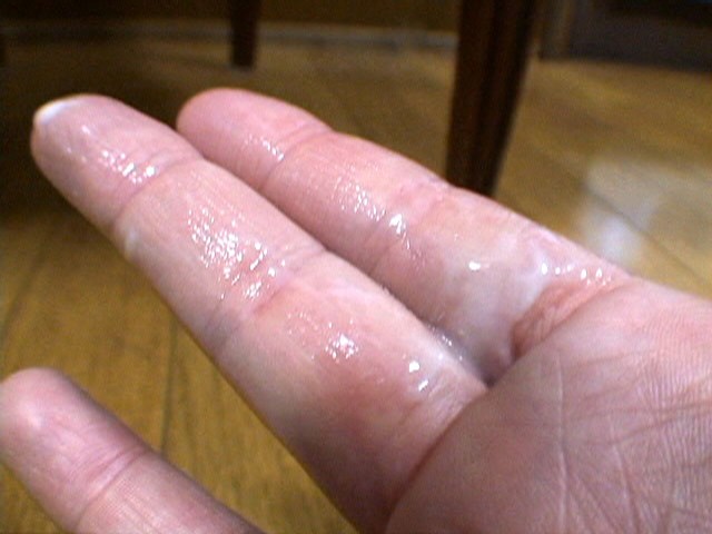 サンプル画像 19