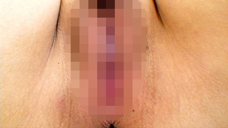 サンプル画像 12