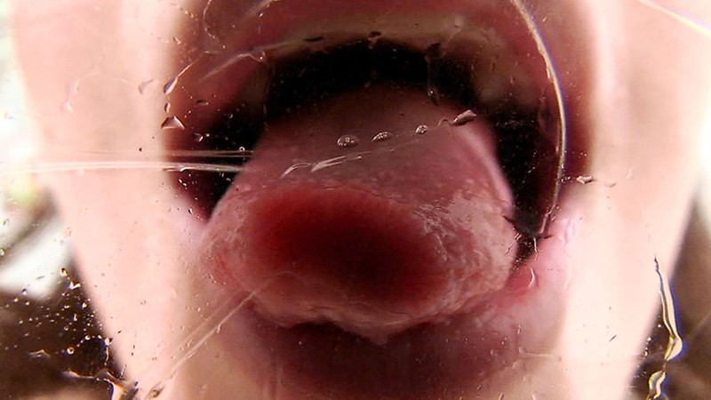 サンプル画像 12