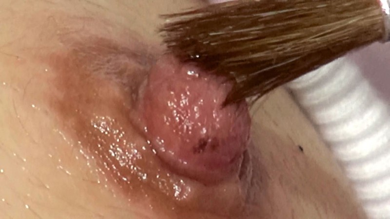 サンプル画像 9