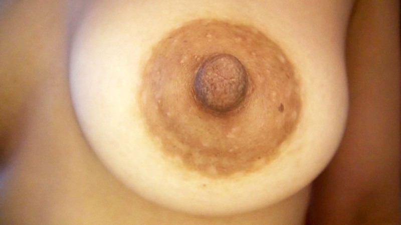 サンプル画像 11