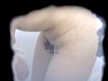 サンプル画像 8