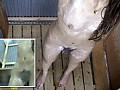 サンプル画像 13