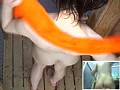 サンプル画像 9