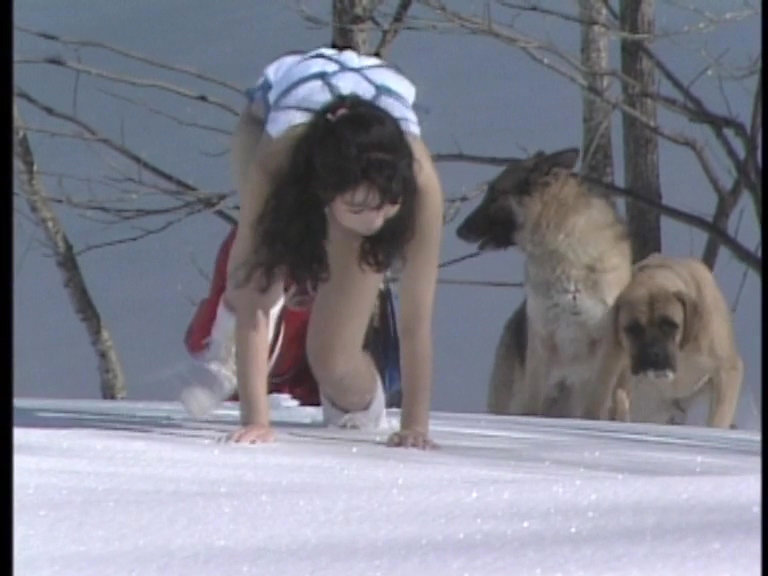 サンプル画像 2