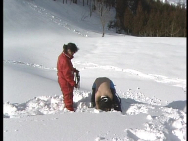 サンプル画像 12