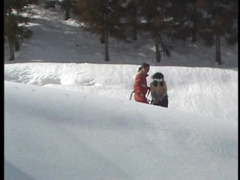 サンプル画像 8