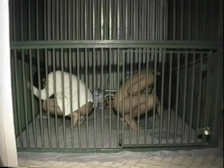 サンプル画像 9