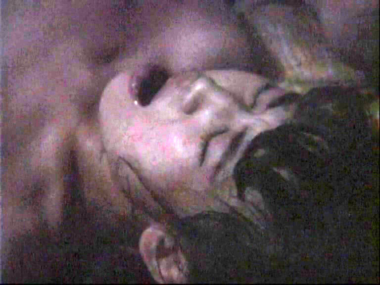 サンプル画像 6