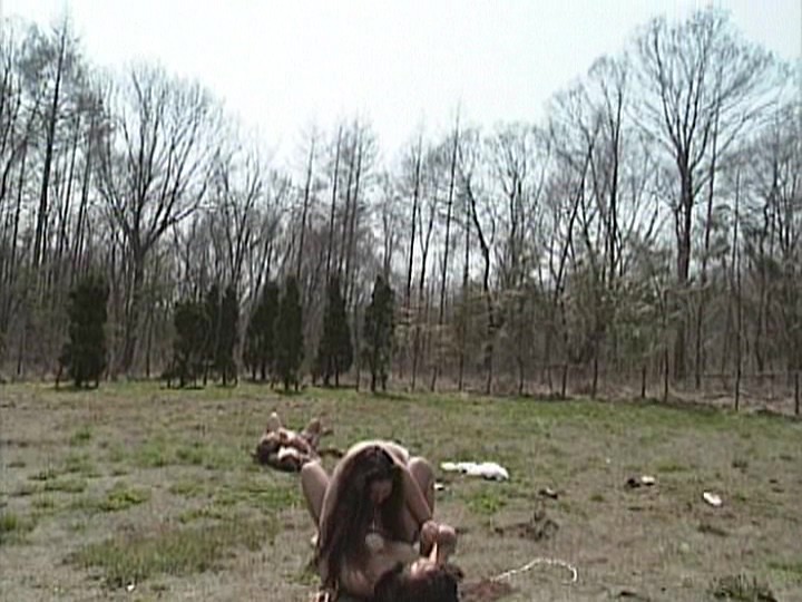 サンプル画像 13