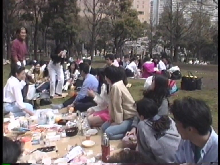 サンプル画像 2