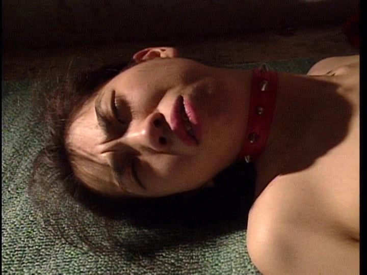 サンプル画像 15