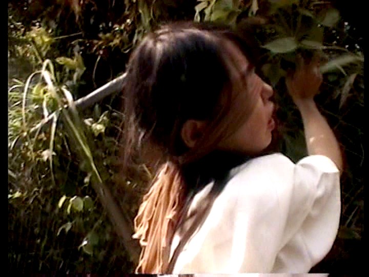 サンプル画像 5