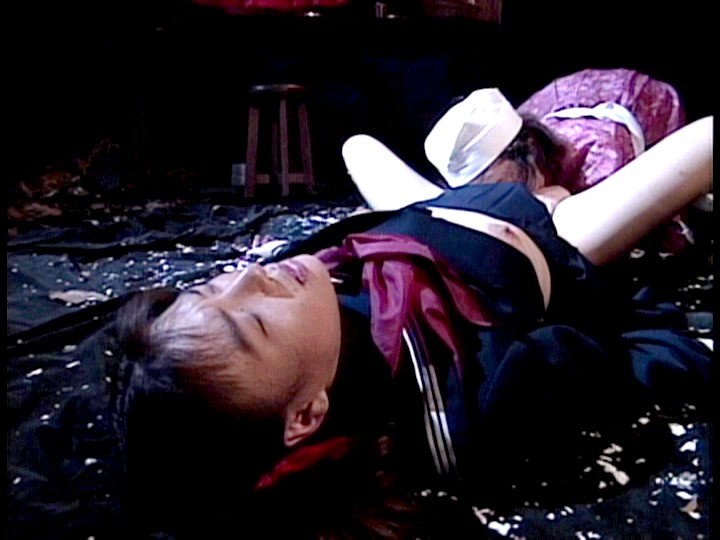 サンプル画像 10