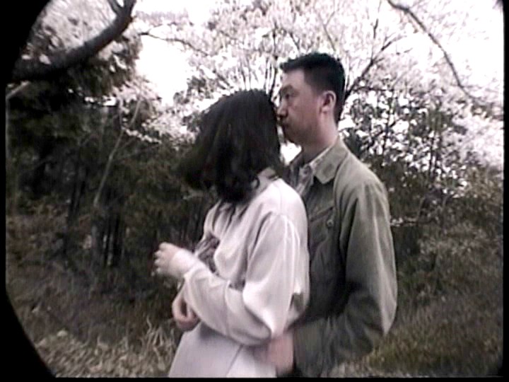 サンプル画像 3