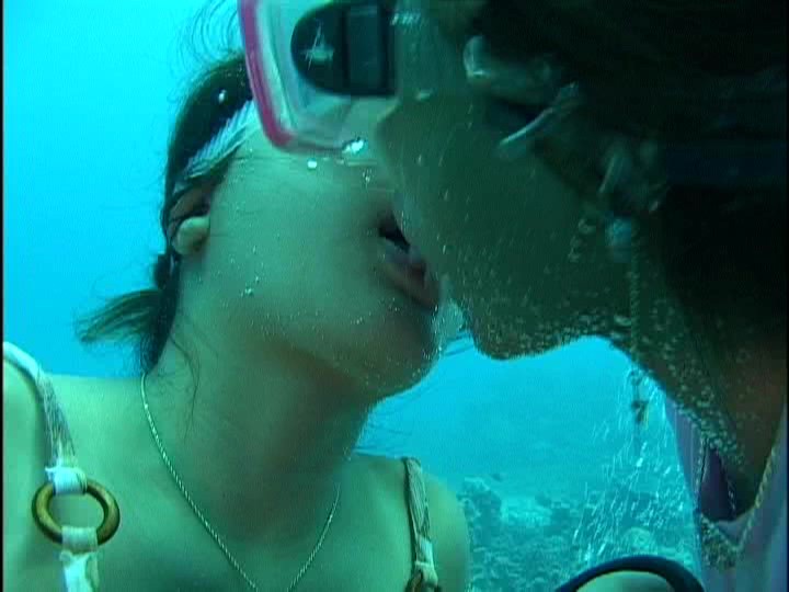 サンプルプレビュー