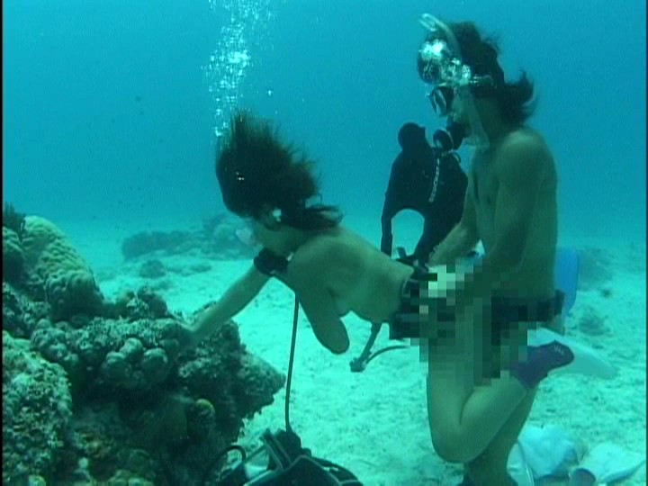 サンプル画像 14