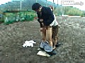 サンプル画像 23