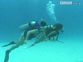 サンプル画像 35