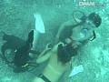 サンプル画像 36