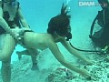 サンプル画像 37