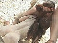サンプル画像 40
