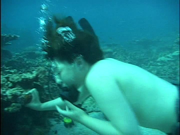 サンプル画像 20