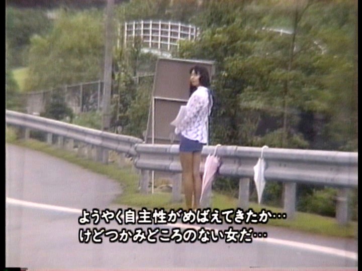 サンプル画像 8