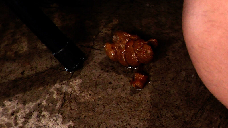 サンプル画像 13