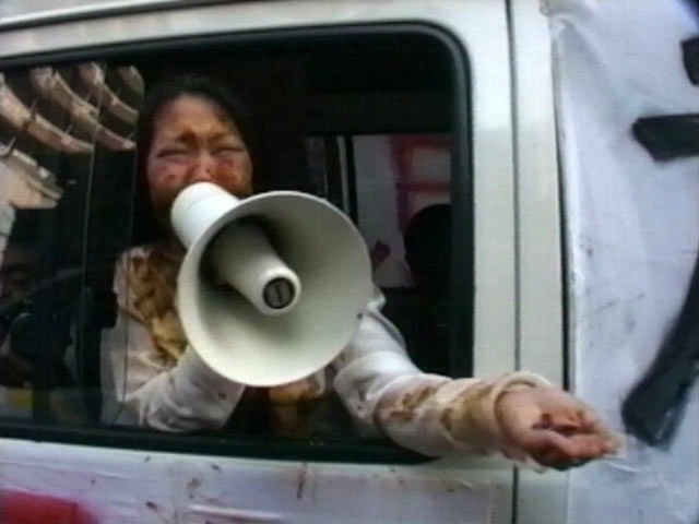 サンプル画像 8