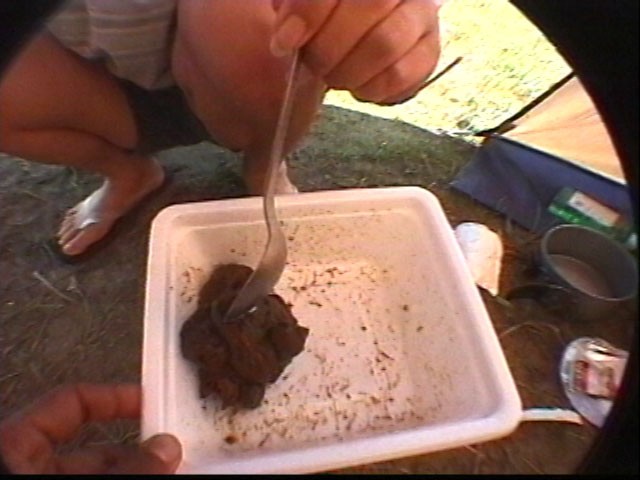 サンプル画像 11