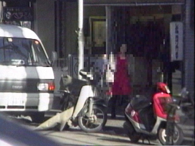 サンプル画像 10